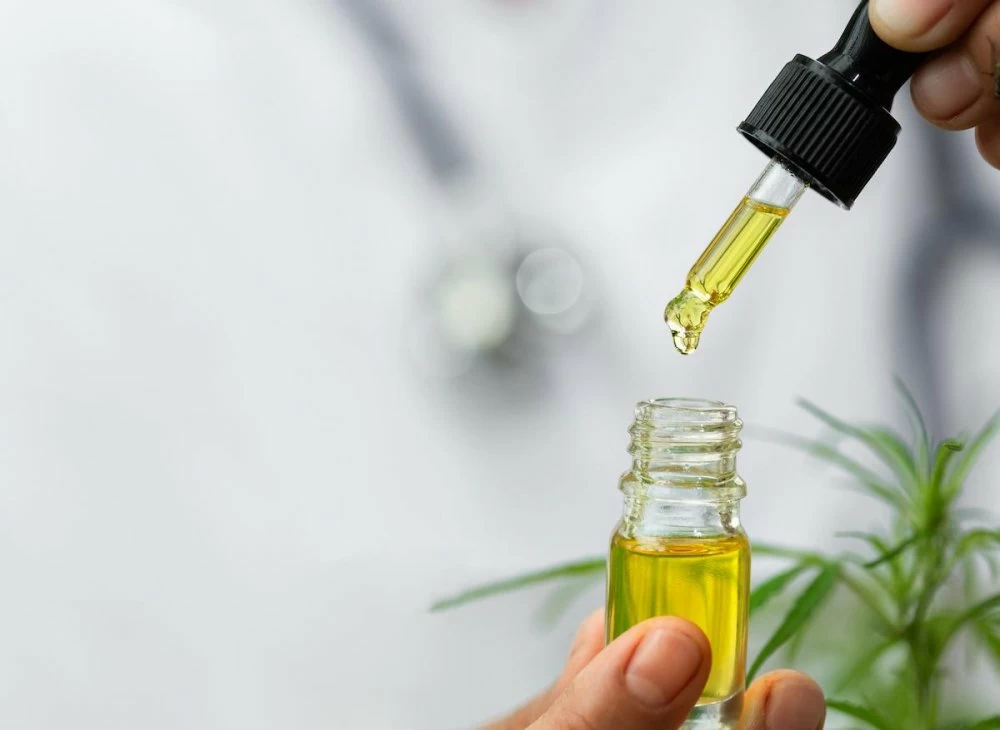 Cannabis médical : le Maroc veut produire sa propre science