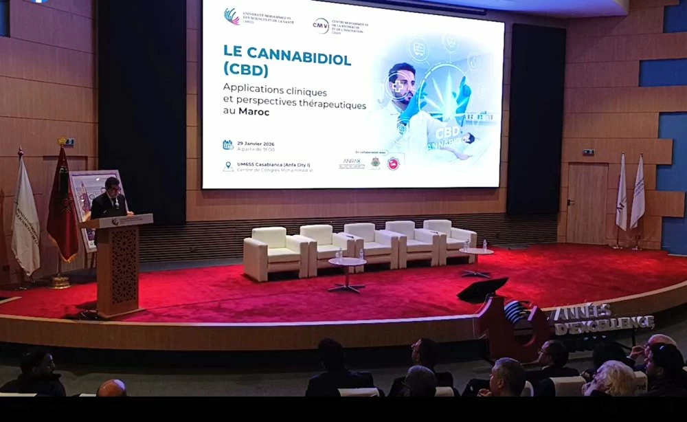 Cannabis médical : le Maroc veut produire sa propre science