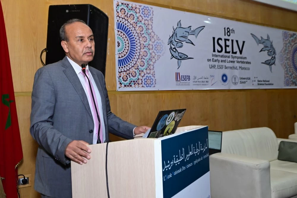 Berrechid consacrée capitale mondiale des vertébrés primitifs