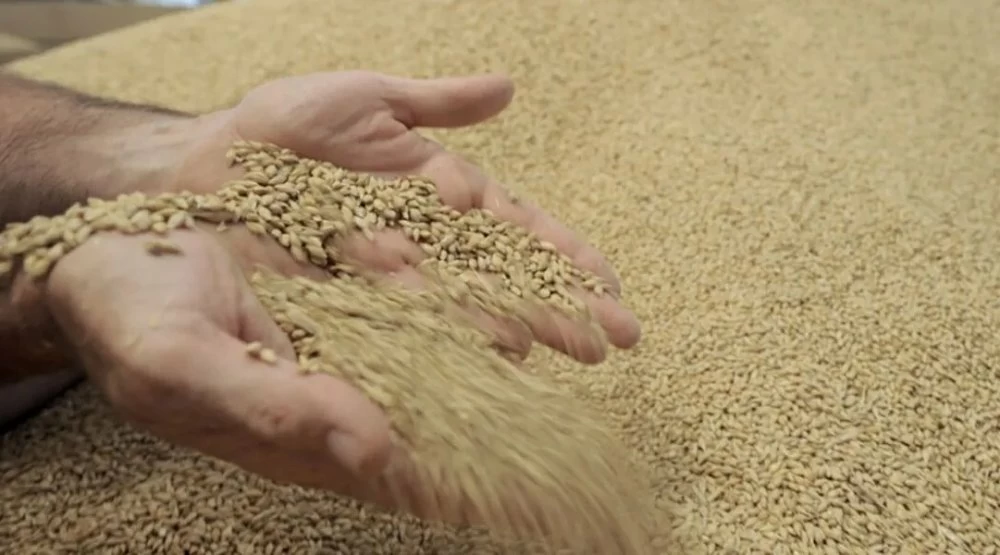 Intempéries à Sidi Slimane: distribution gratuite d’orge et de fourrage pour soutenir les éleveurs