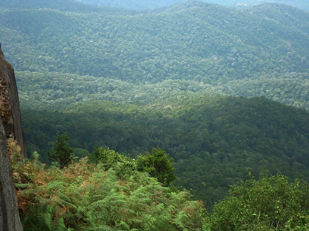 L’objectif de ce projet est de gérer durablement les ressources naturelles et de promouvoir l’écotourisme ainsi que les chaînes de valeur forestières, afin de favoriser le développement socio-économique des populations.