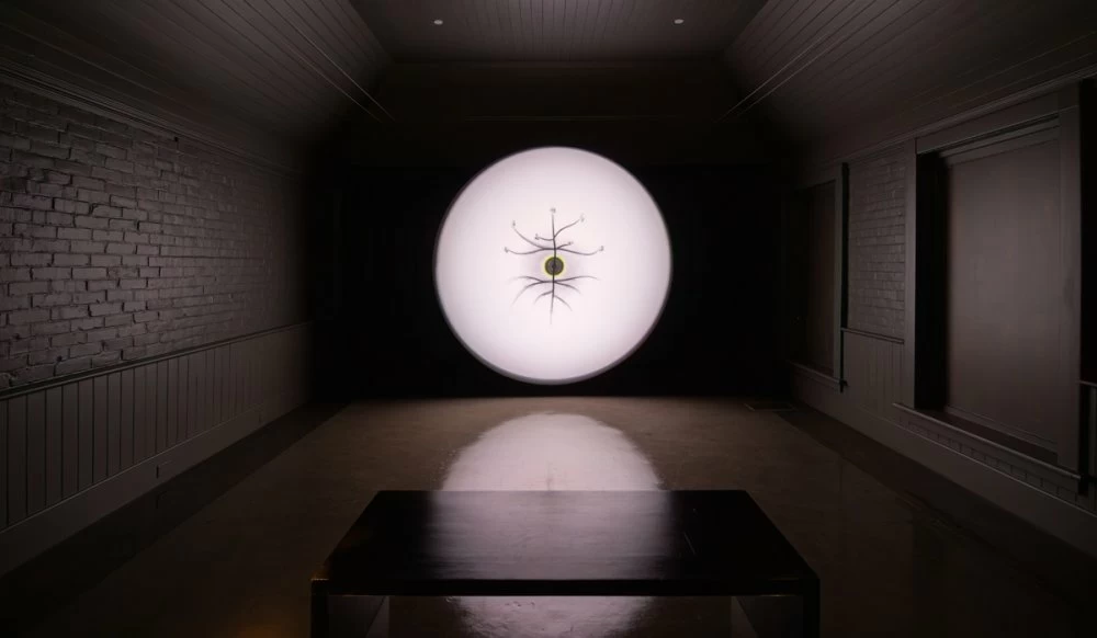 Au MMVI, Younes Rahmoun déploie un cycle méditatif entre graine et floraison