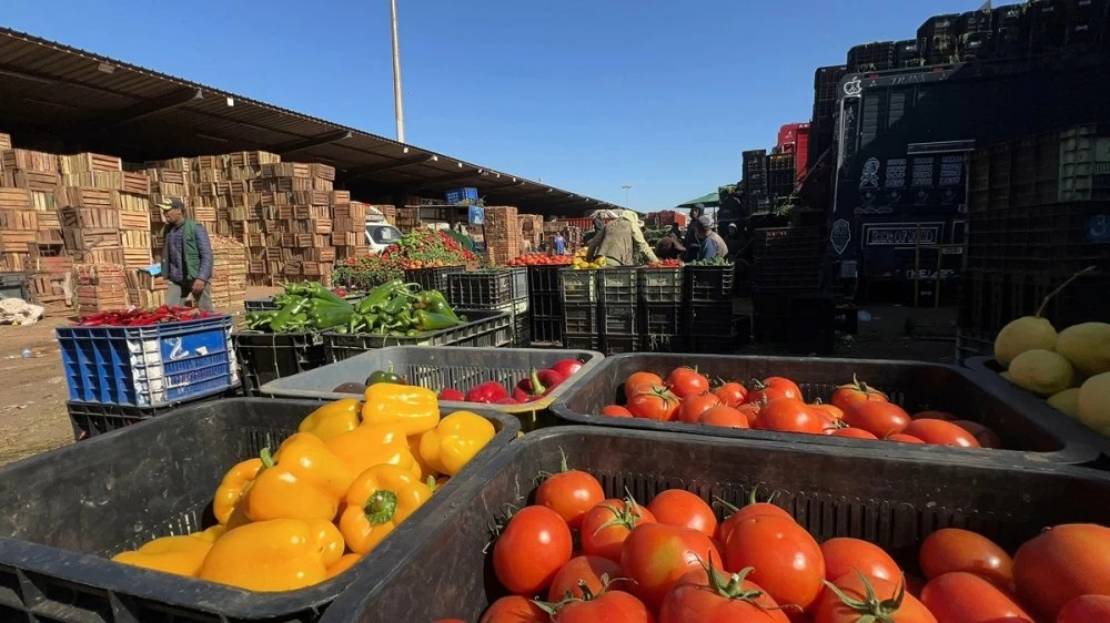 Ramadan : les prix des fruits et légumes en hausse malgré l'abondance de l'offre