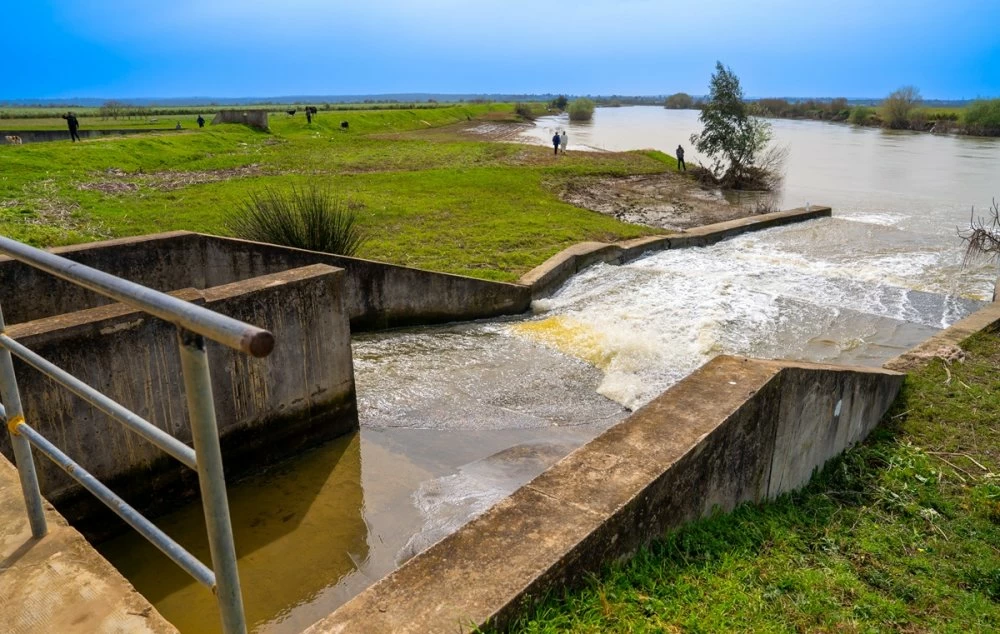Inondations : 105.000 hectares sinistrés dans le Gharb et le Loukkos, un plan de relance agricole lancé