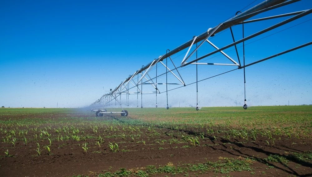 Dessalement et irrigation : l’État prépare la sécurisation hydrique de 30.000 hectares dans la Moulouya