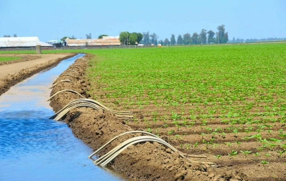 Agriculture et eau : le modèle marocain de financement vert mis en avant par la Banque mondiale