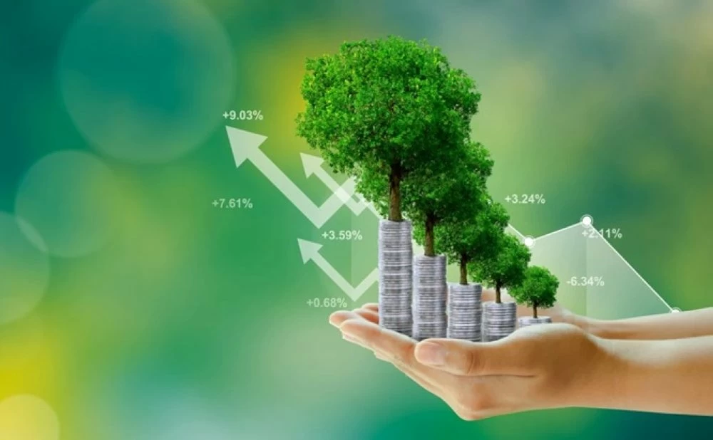« Green Invest » est une ligne de crédit permettant à Tamwilcom de cofinancer, aux côtés des banques marocaines, des prêts destinés à des investissements à fort impact environnemental