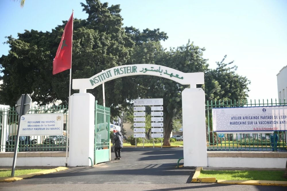 Aahd Oulad El Hassan nommée directrice de l'Institut Pasteur