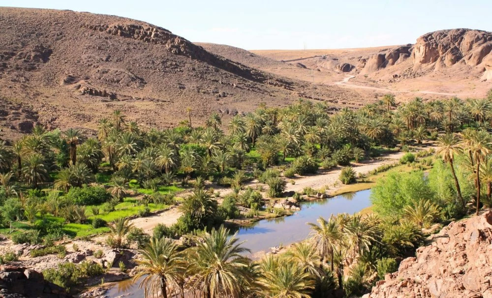 Zagora : près de 624 MDH pour l’aménagement et la réhabilitation des oasis