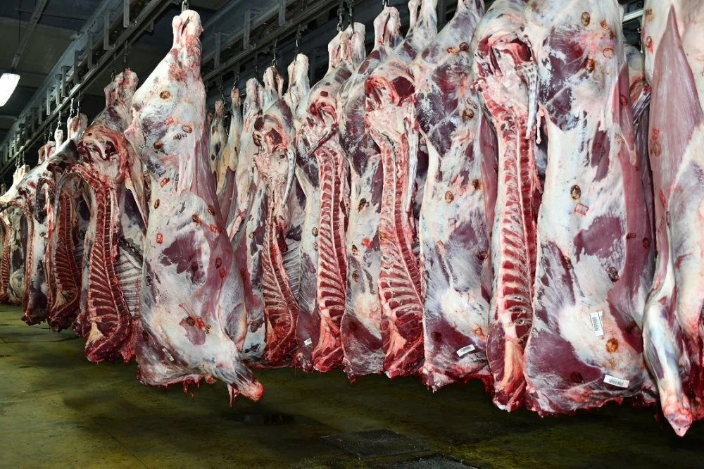 Les prix des viandes rouges poursuivent leur hausse à Casablanca, les tomates en léger repli