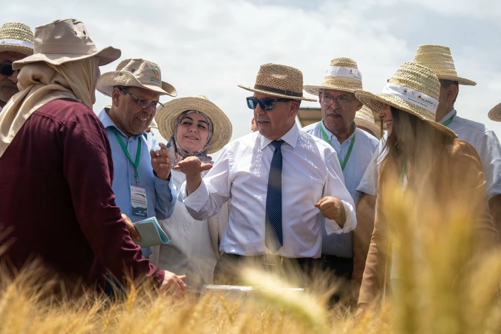 Campagne agricole, résilience, agrégations agricoles... les grandes révélations d’Ahmed El Bouari