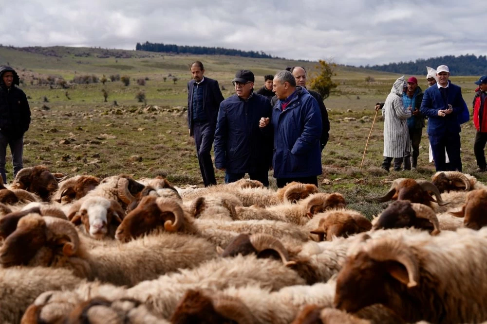 Campagne agricole, résilience, agrégations agricoles... les grandes révélations d’Ahmed El Bouari