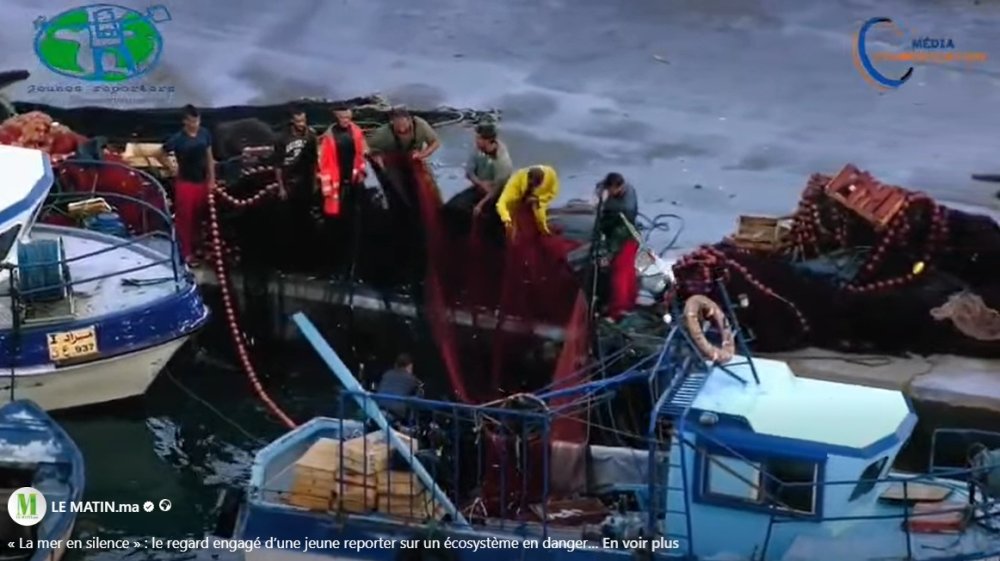 « La mer en silence » : le regard engagé d’une jeune reporter sur un écosystème en danger