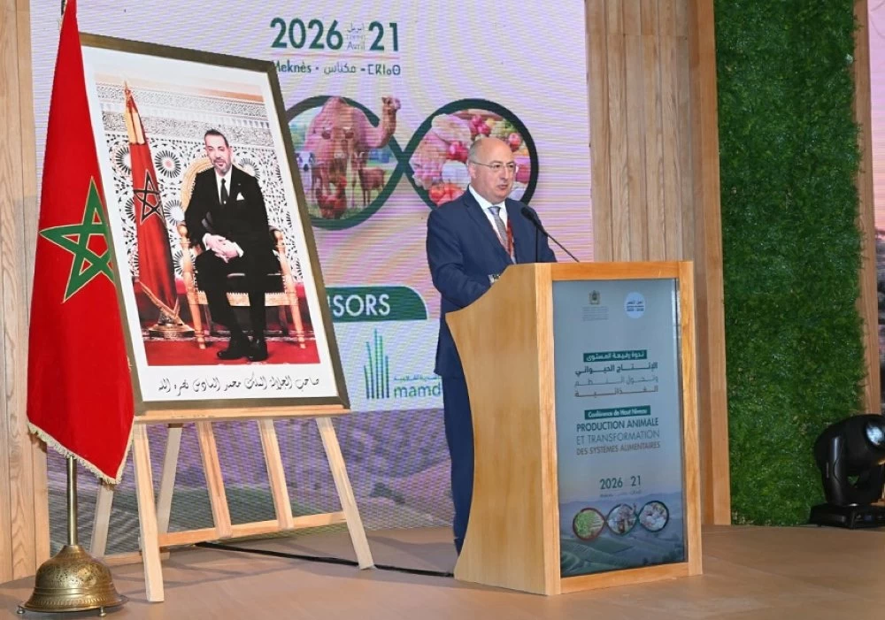 Près de 90 millions de quintaux attendus pour la récolte céréalière 2025-2026 (El Bouari)