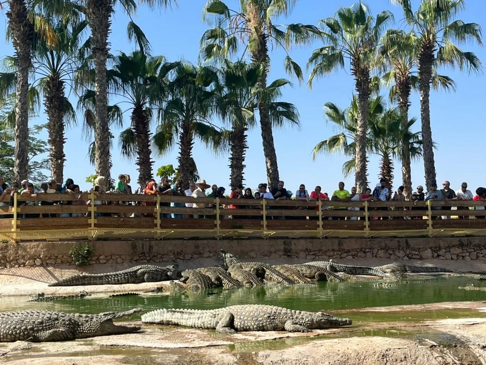 Le Crocoparc d'Agadir accueillera le Congrès mondial des spécialistes des crocodiles