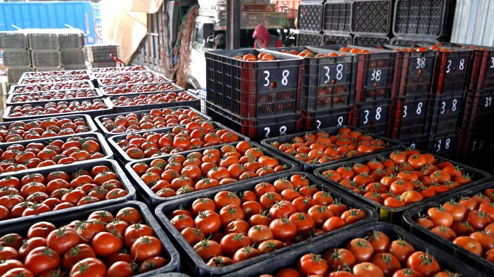 Baisse des prix des viandes rouges à Casablanca, les tomates poursuivent leur flambée