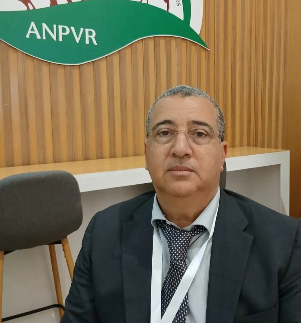 Aïd Al Adha : les producteurs de viandes rouges confirment l'abondance de l'offre