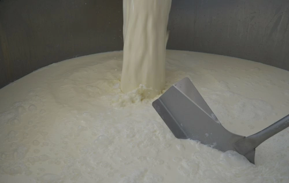 Filière laitière au Maroc : de la résilience à la relance