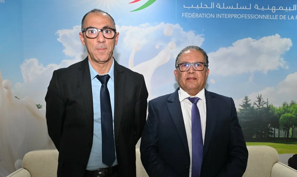 Filière laitière au Maroc : de la résilience à la relance