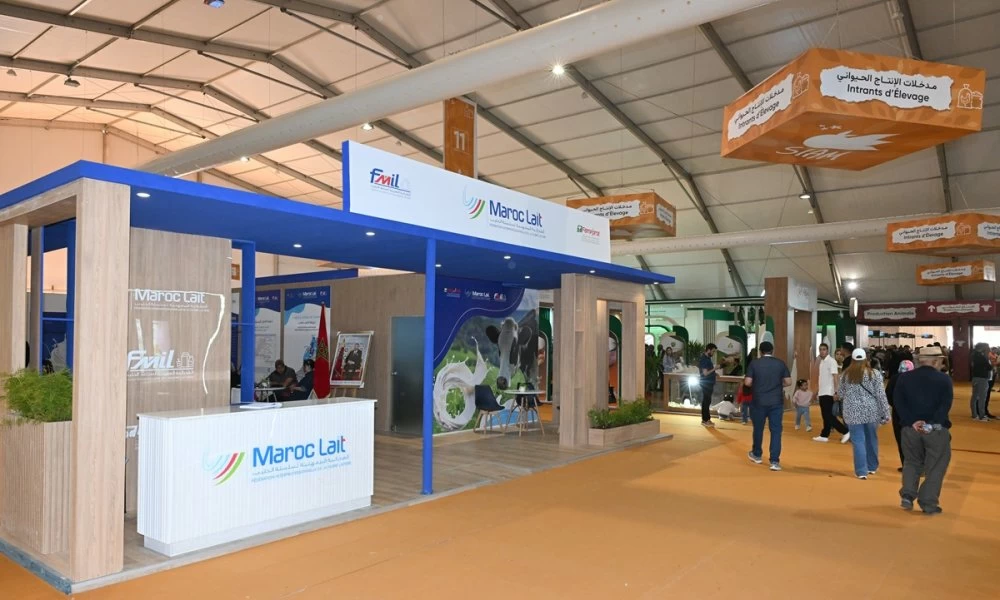 Filière laitière au Maroc : de la résilience à la relance