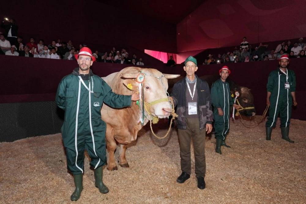 SIAM 2026 : remise des prix des meilleurs animaux d’élevage