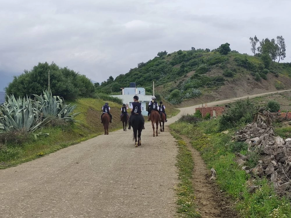 Maroc Rallye équestre : la 5e édition met le cap sur Chefchaouen