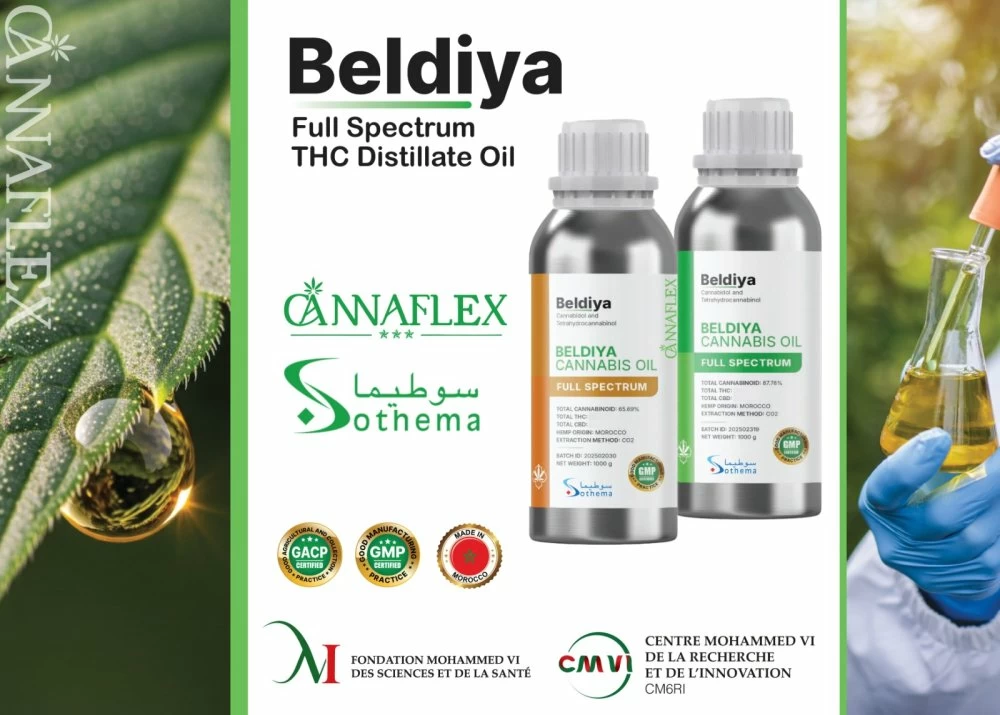 Cannabis : le Maroc exporte, pour la première fois, un extrait pharmaceutique certifié GMP
