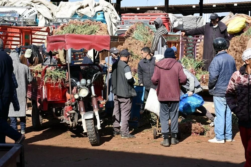 Les prix des oignons bondissent au marché de gros de Casablanca, les viandes rouges poursuivent leur hausse