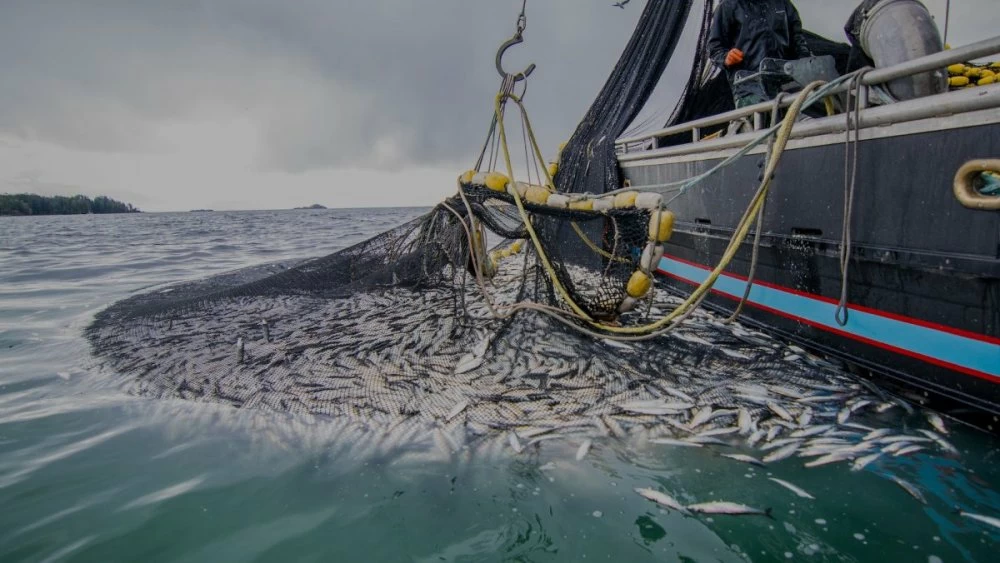 Dans la continuité de la Stratégie «Halieutis», des changements majeurs ont été opérés dans la règlementation impactant considérablement la gestion existante de l’information des activités de la pêche maritime.