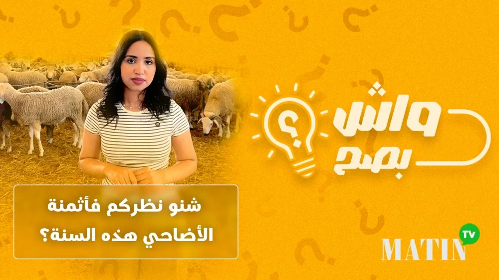 Aïd Al-Adha : les prix des moutons vont-ils vraiment baisser cette année ?