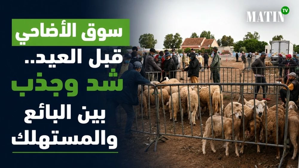 Aïd Al Adha : tensions autour des prix dans les marchés aux moutons