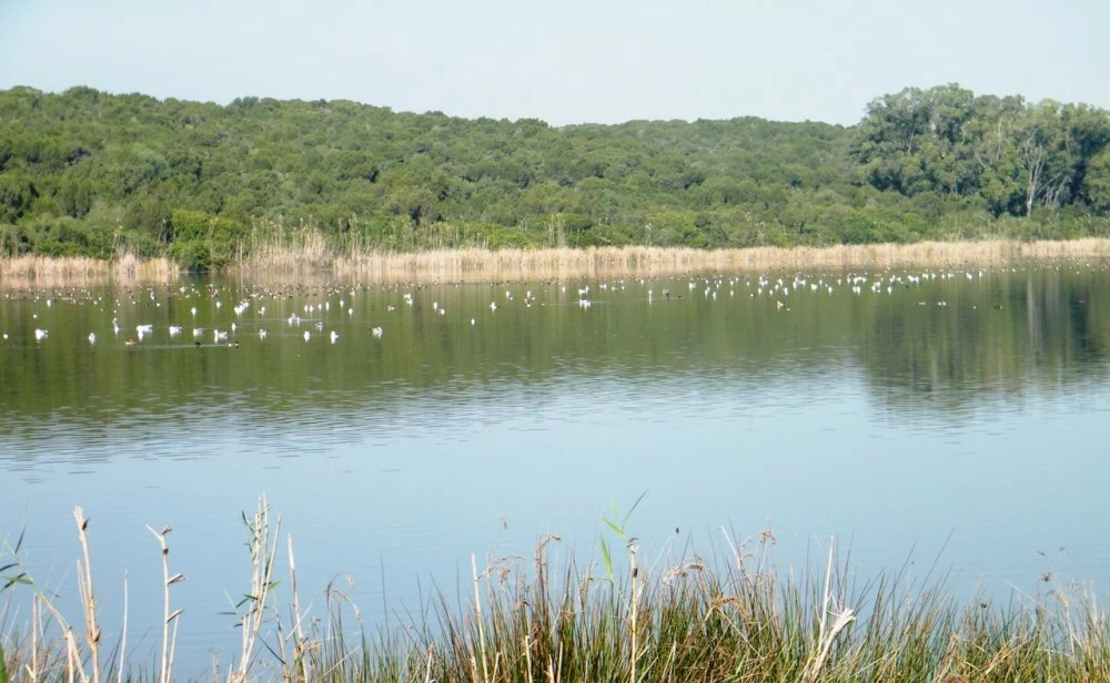 Biodiversité : les chiffres du CESE donnent froid dans le dos