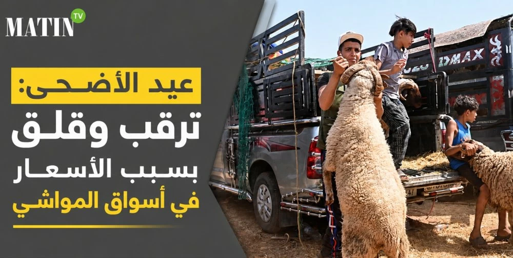 Aïd Al-Adha : attente et inquiétudes face à la hausse des prix sur les marchés des moutons