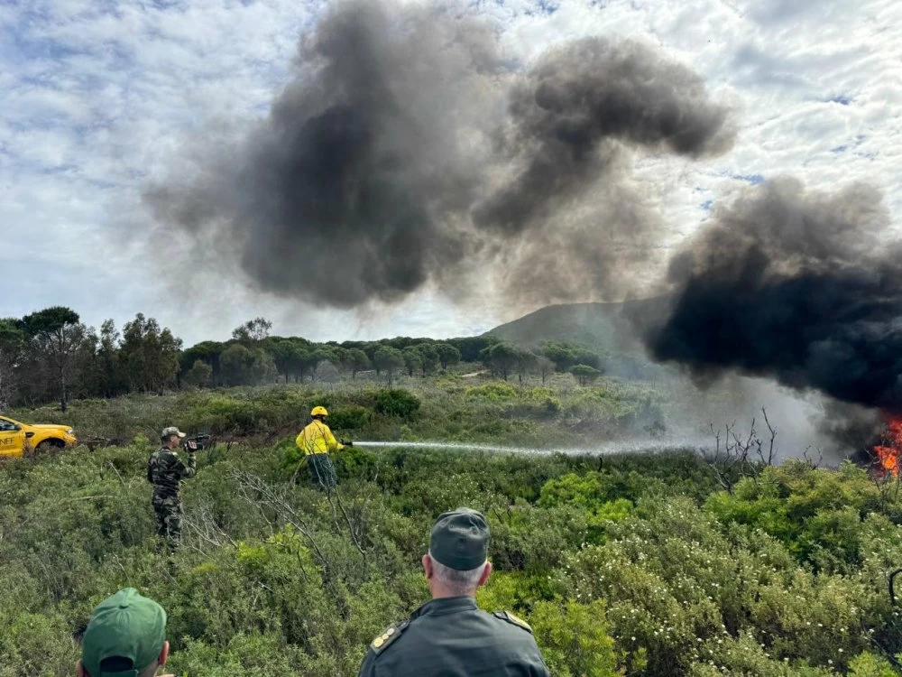 Feux de forêts : alerte sur un risque extrême dans plusieurs régions du Maroc (ANEF)