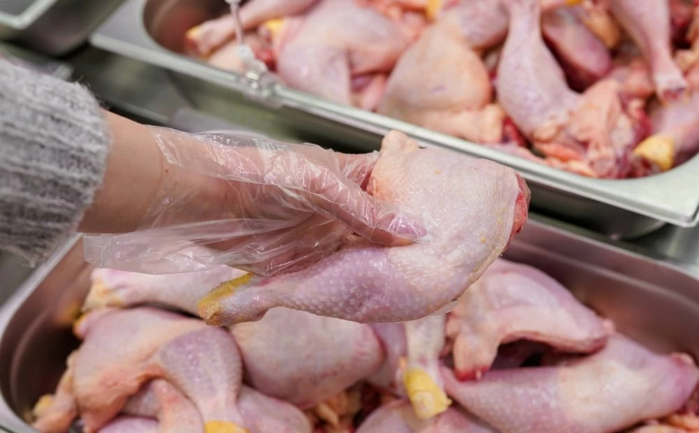 Poulet et œufs : pourquoi les prix chutent sur le marché marocain