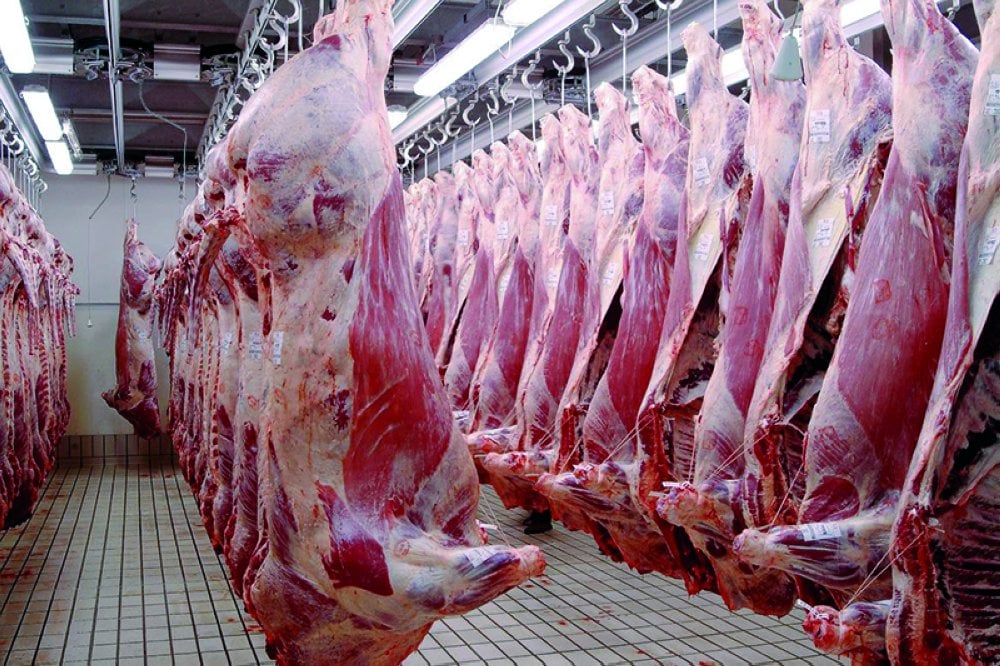 économie 19 Viandes rouges importées : El Bouari détaille un dispositif de contrôle sanitaire à plusieurs niveaux