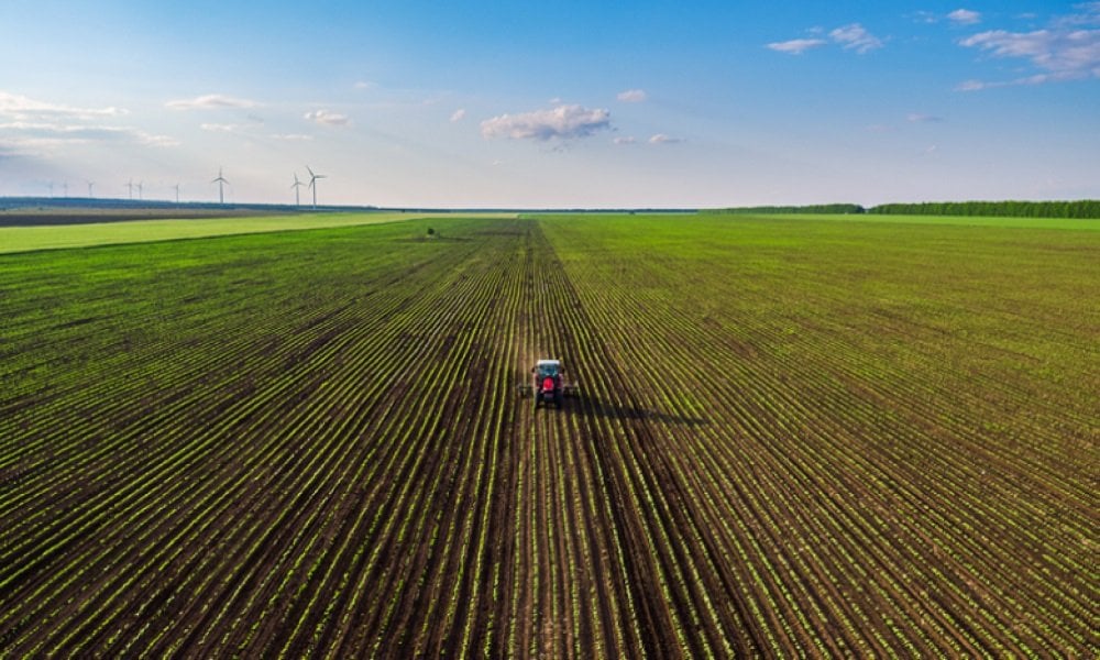 Agriculture de conservation au Maroc : l’objectif du million d’hectares face à la complexe réalité du terrain