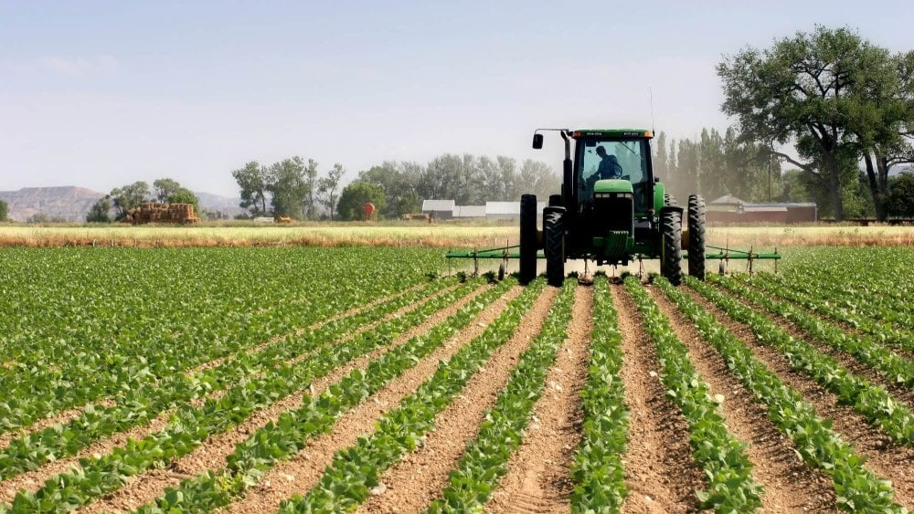 "Ihyae" : Le Maroc mise sur l’agroécologie et l’entrepreneuriat pour faire émerger une classe moyenne agricole