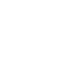 play icon